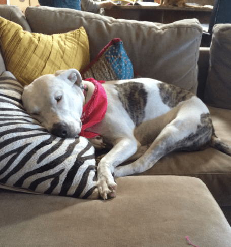 Screen Shot 2014-01-15 at 11.12.00 AM